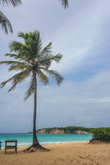 Tropical Paradise. Dominican Republic, Seychelles, Caribbean