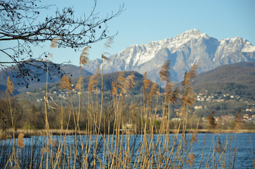Lago e montagne