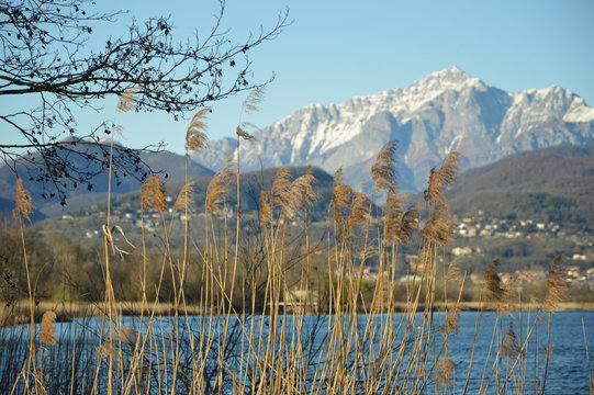 Lago e montagne