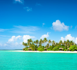 Tropical island beach with palm trees and cloudy blue sky
