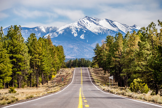 Fototapeta landscape with Humphreys Peak Tallest in Arizona