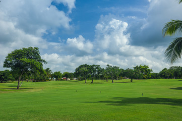 Golf course in Dominican republic. field of grass and coconut