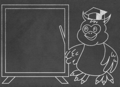 Wise owl teacher on chalkboard