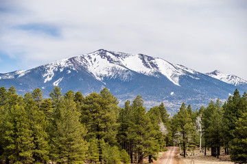 landscape with Humphreys Peak Tallest in Arizona