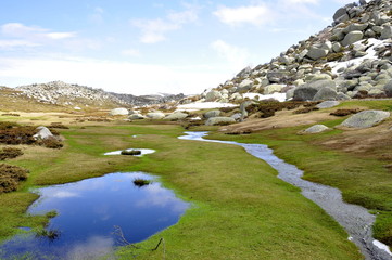 Pozzines, Plateau de Coscione, Corse