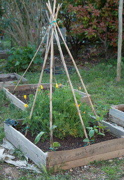Carr&eacute;s de potager
