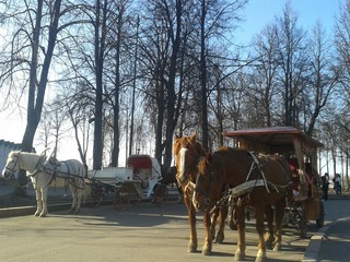 Fototapeta na wymiar Horseback carriages in the Suzdal