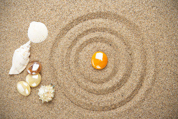 Fototapeta na wymiar Summer beach. Seashell on the sand.