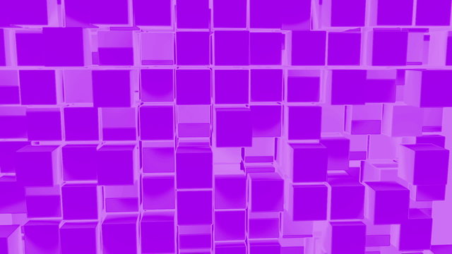 Purple Cubes motion background, loop