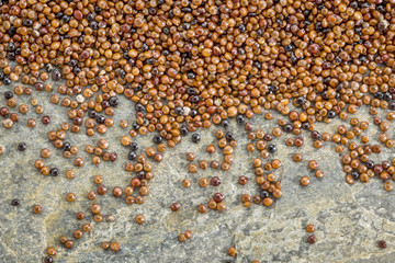 kaniwa grain (baby quinoa)