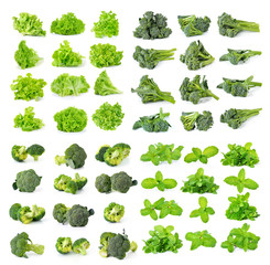 broccoli,green lettuce and mint isolated on white background