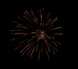 firework on black background