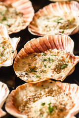 Scallops in the shell
