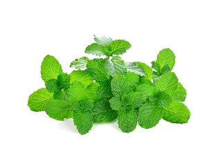 mint leaves isolated on white background © nipaporn