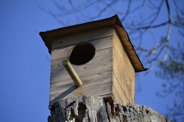 Nistkasten