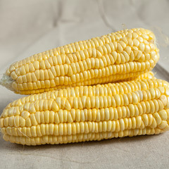 Corn