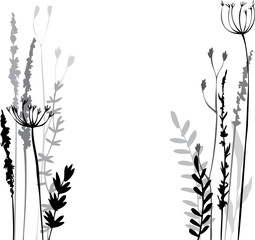 Silhouettes of flowers and grass