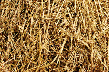 The straw background. Indian straw