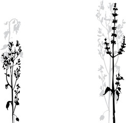 Silhouettes of flowers and grass