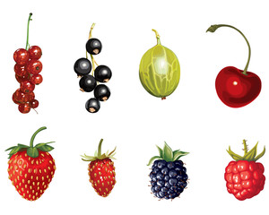 Cartoon ripe berries set