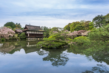 Fototapeta na wymiar 京都　平安神宮　神苑