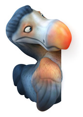 Dodo © Julien Tromeur