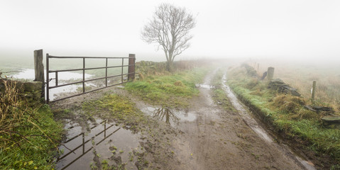 Thick fog on a country lane