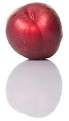 Victoria plum or red plum over white background