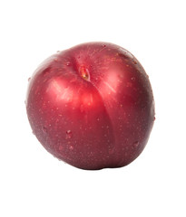 Victoria plum or red plum over white background