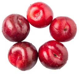 Victoria plum or red plum over white background