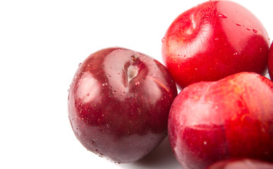 Victoria plum or red plum over white background