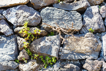 background from old cobblestone wall