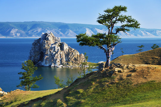Tree of desires on Lake Baikal