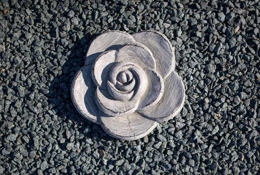 Steinrose