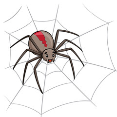 Spider Cartoon