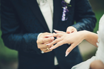 Obraz na płótnie Canvas Bride and groom exchanging wedding rings