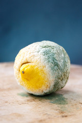 Moldy organic lemon on wooden background