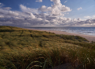 Dunes and beach