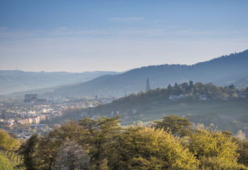 view over Freiburg, Germany