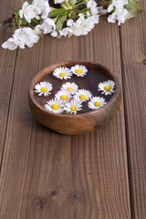 Bowl with daisies on wooden background