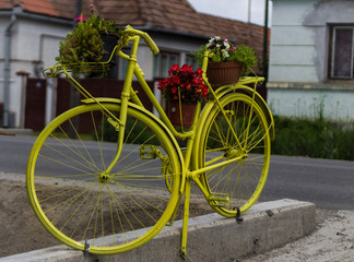 Fototapeta na wymiar Yellow flower bike