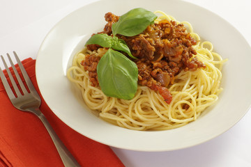 spaghetti bolaognaise 22042015
