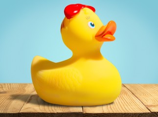 Rubber Duck. Yellow rubber duck
