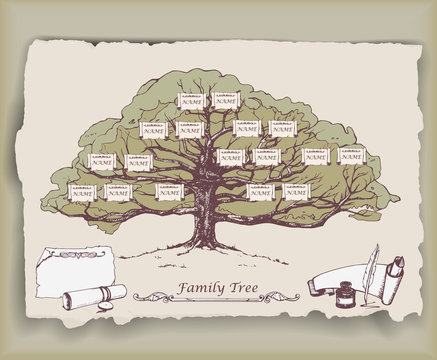 Hand-drawn family tree with decorative elements. Vector
