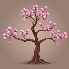Pink magnolia tree