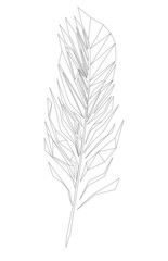 Feather. Low polygon linear vector illustration