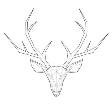 Horned deer. Low polygon linear vector illustration