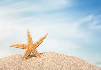Beach. Starfish  with ocean , beach and seascape, shallow dof