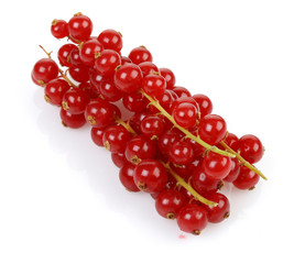 Currant