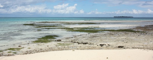Tropical Beach at Low Tide